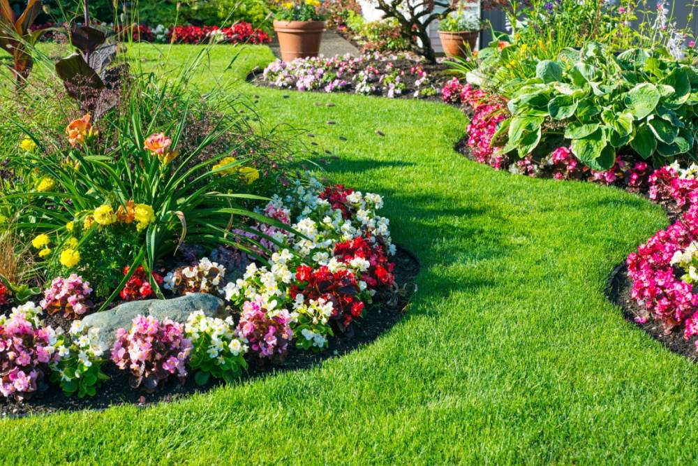 Jardin sur mesure près de Avize